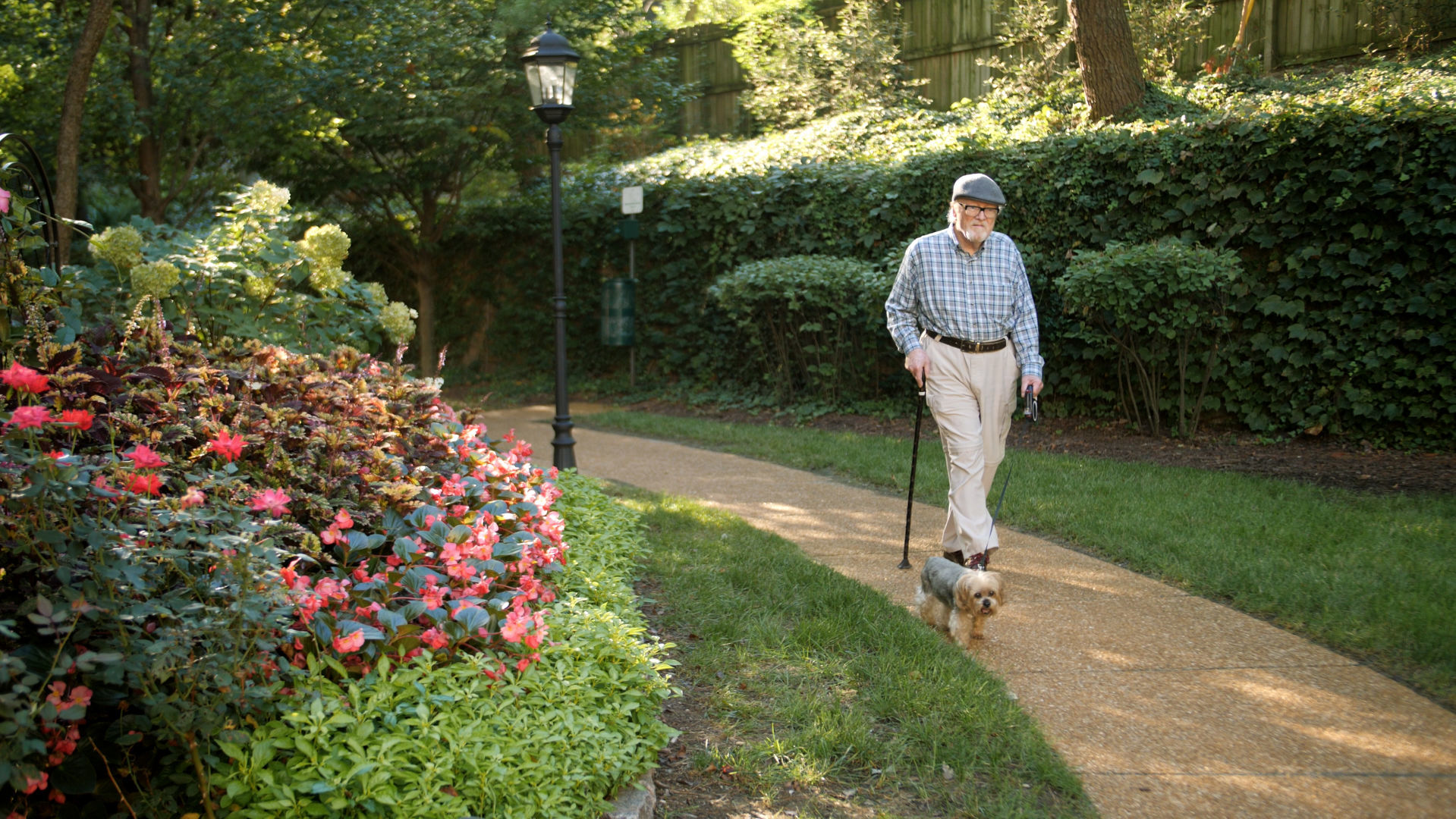 RedWalkingDog.jpg